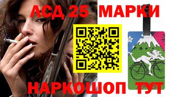 шишки Будённовск