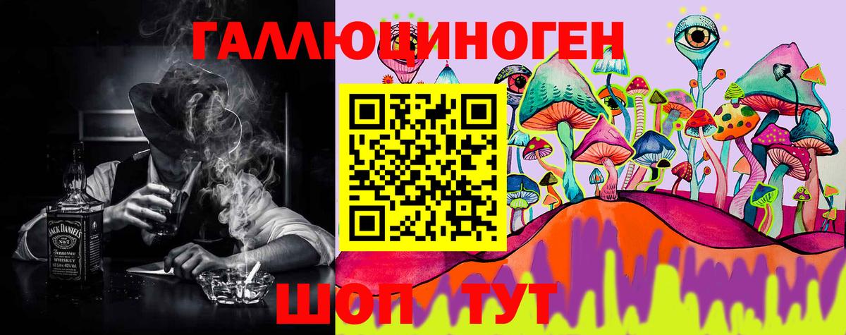 Королёв  Псилоцибиновые грибы GOLDEN TEACHER  Вход с VPN  сколько стоит  Псилоцибиновые грибы мухоморы 